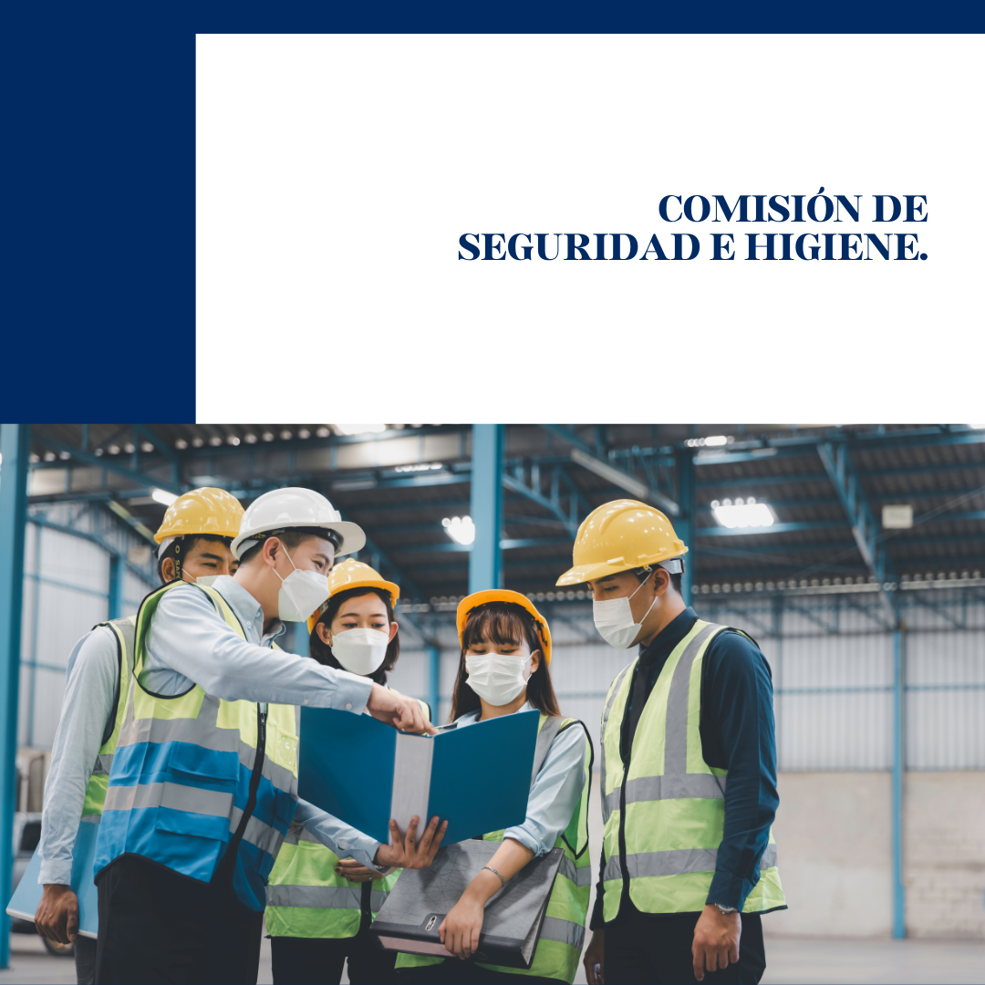 COMISIÓN DE SEGURIDAD E HIGIENE
