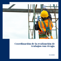 Coordinación de la realización de trabajos con riesgo.
