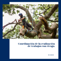 Coordinación de la realización de trabajos con riesgo.