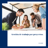 Gestión de trabajo por proyectos.