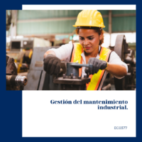 Gestión del mantenimiento industrial.