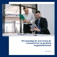 Prestación de servicios de consultoría en gestión organizacional.