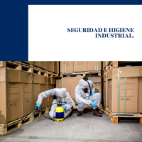 SEGURIDAD E HIGIENE INDUSTRIAL