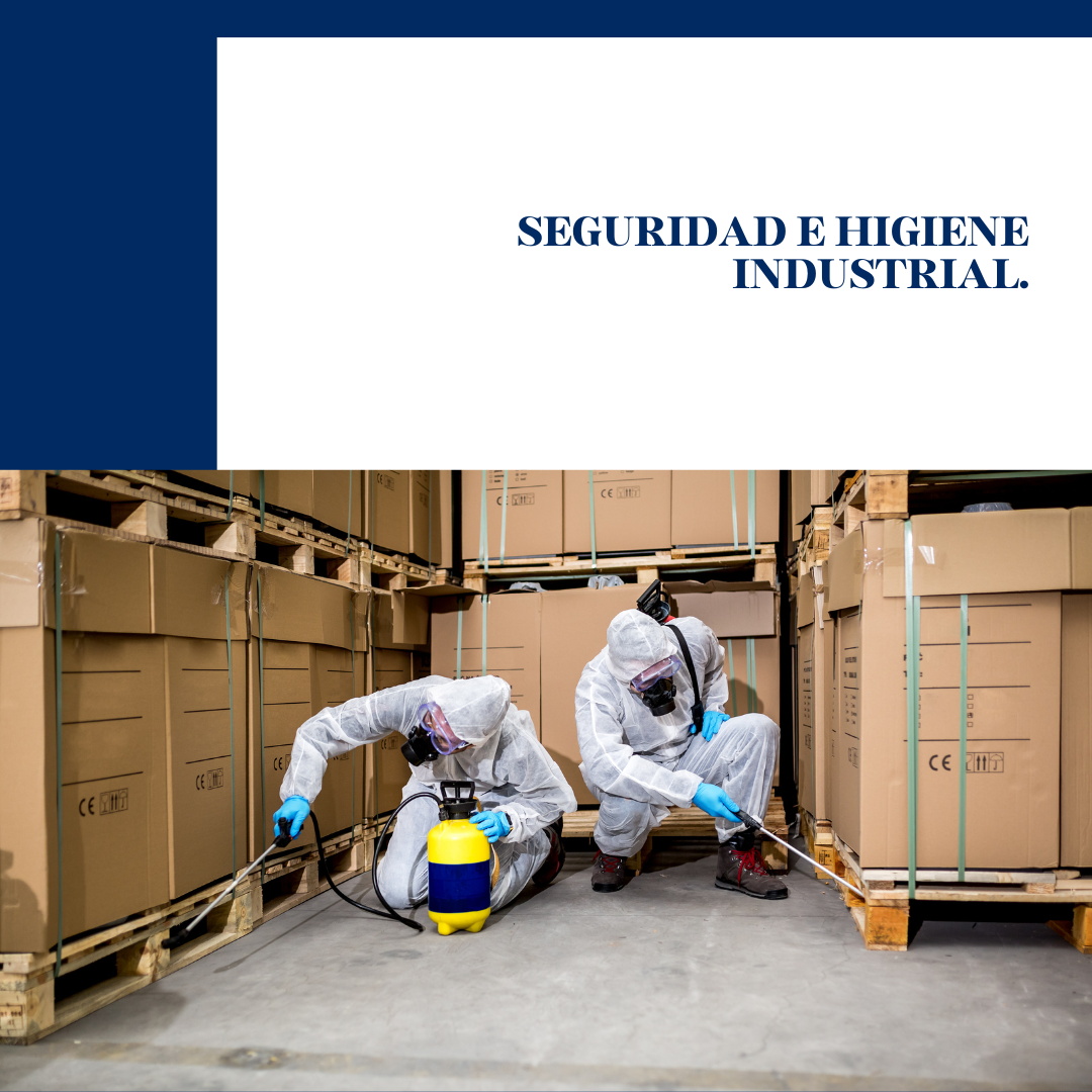 SEGURIDAD E HIGIENE INDUSTRIAL